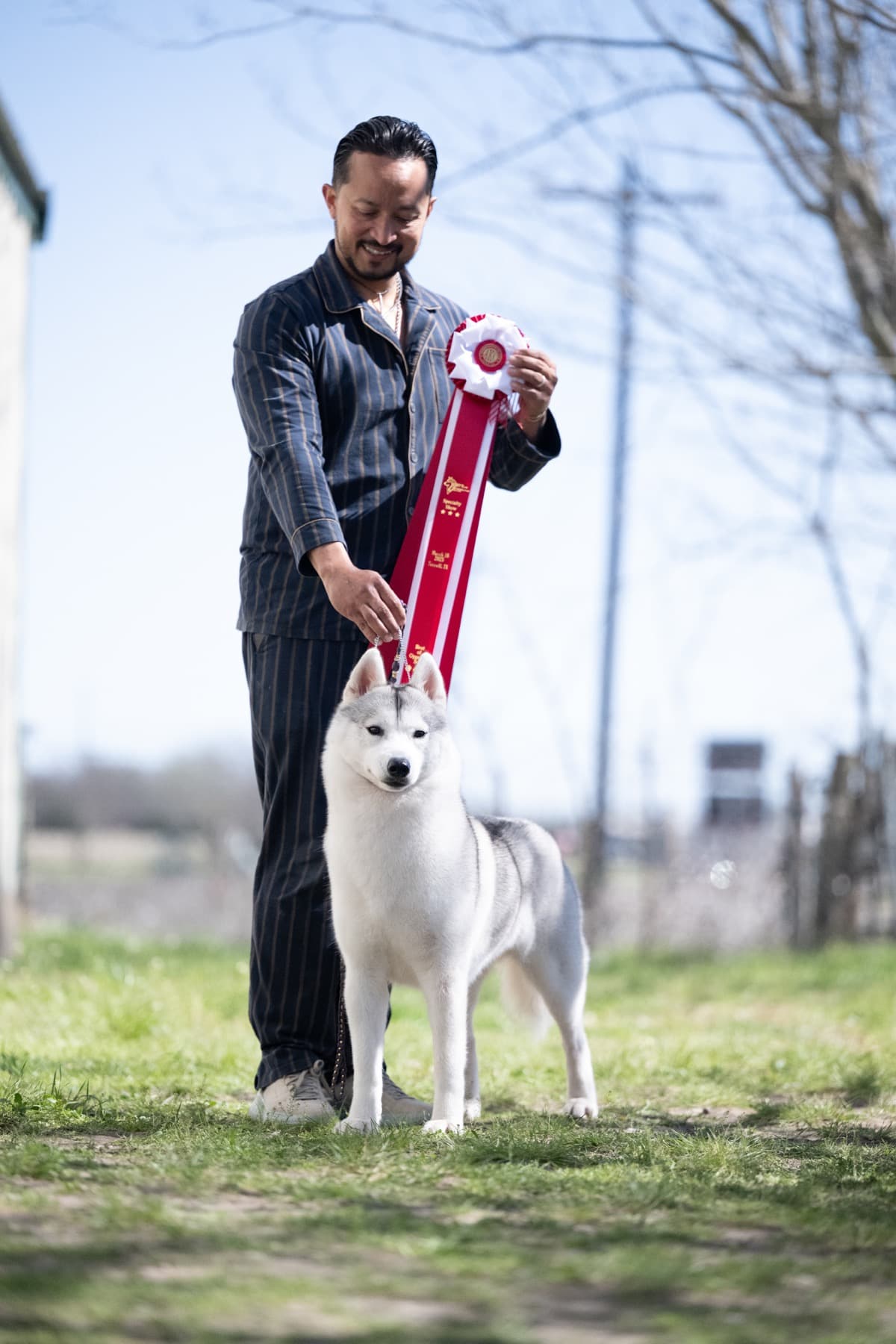 Tiny standing outdoors with her handler holding a red show ribbon above her