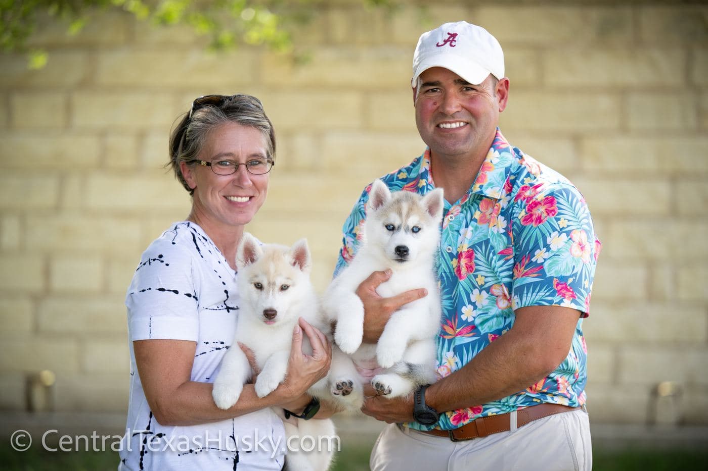 Central Texas Husky family pickup and puppy update photo 8