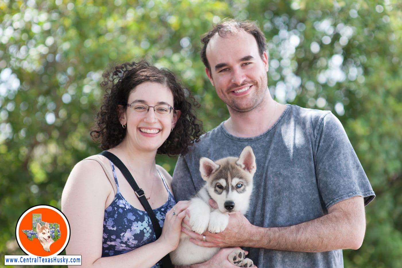 Central Texas Husky family pickup and puppy update photo 14