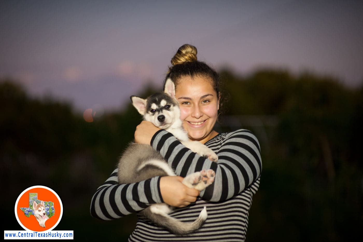 Central Texas Husky family pickup and puppy update photo 15