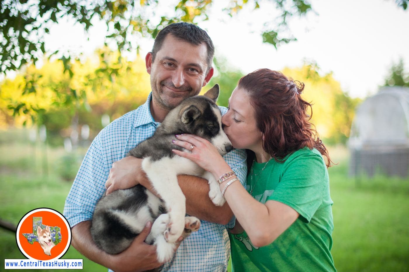 Central Texas Husky family pickup and puppy update photo 23