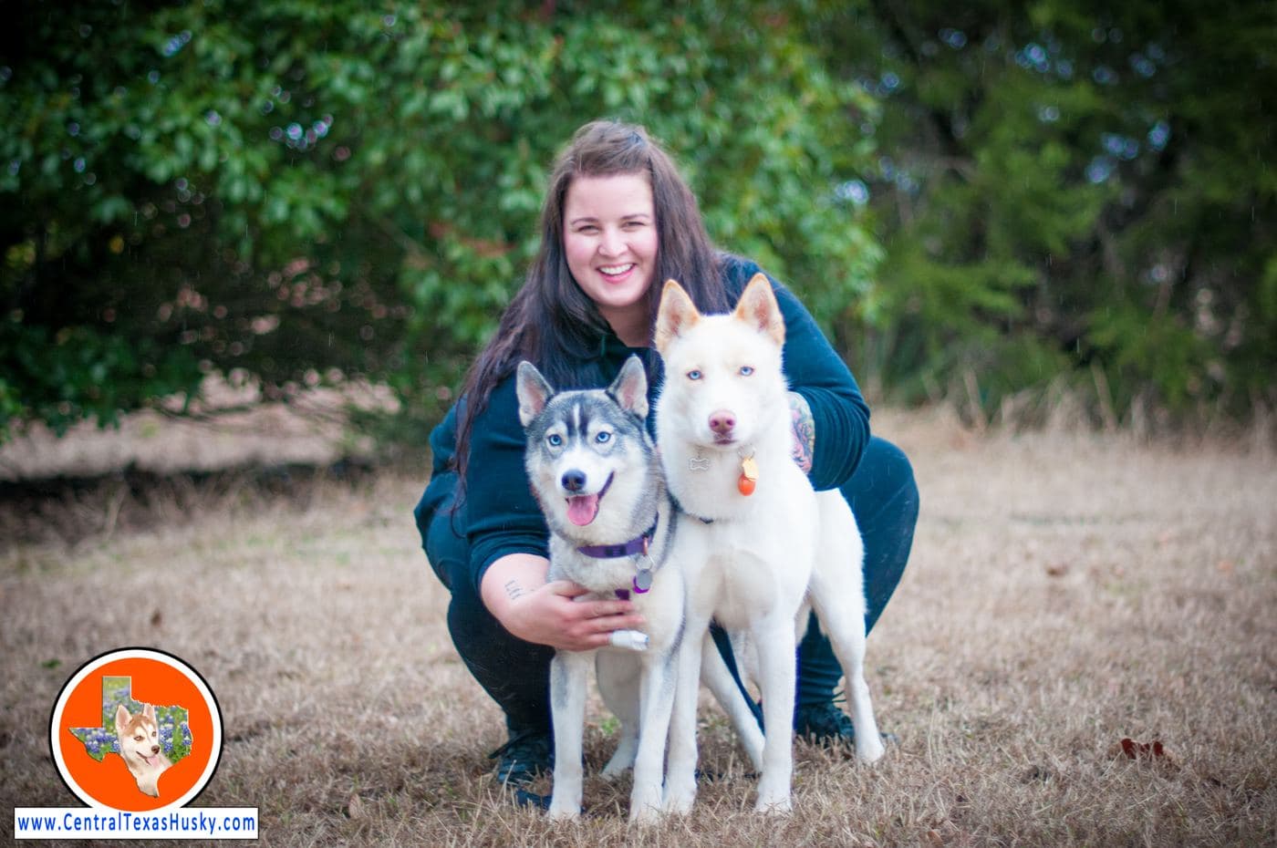 Central Texas Husky family pickup and puppy update photo 24