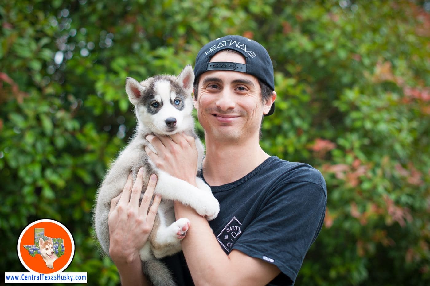 Central Texas Husky family pickup and puppy update photo 25
