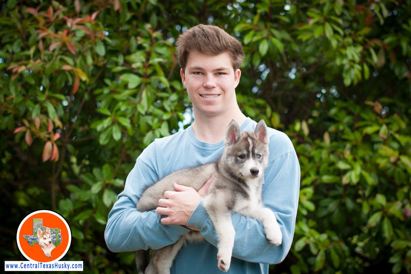 Central Texas Husky family pickup and puppy update photo 26