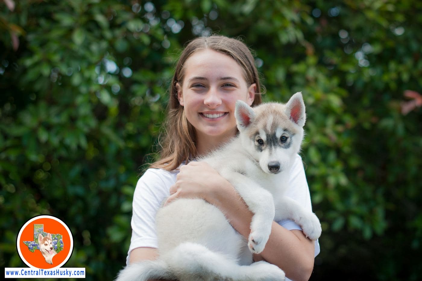 Central Texas Husky family pickup and puppy update photo 27
