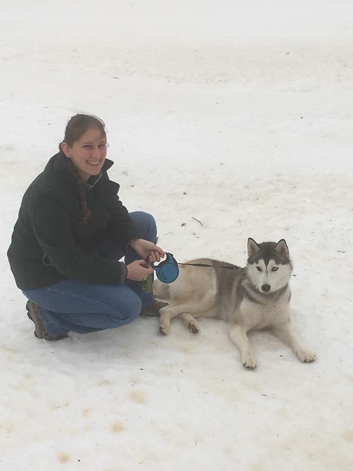 Central Texas Husky family pickup and puppy update photo 28