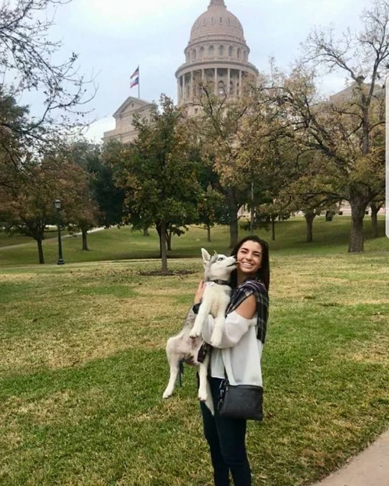 Central Texas Husky family pickup and puppy update photo 31