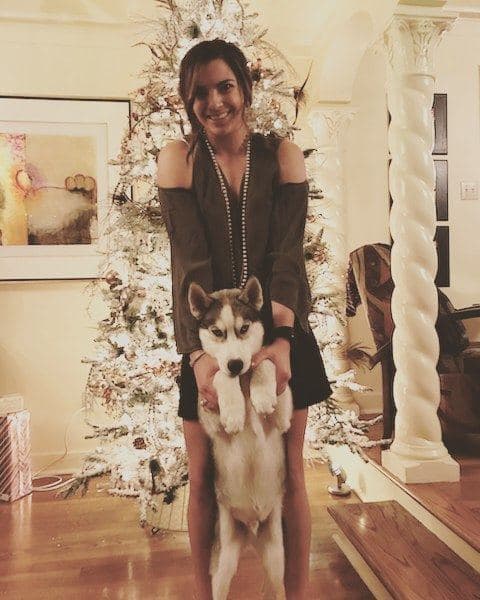 Central Texas Husky family pickup and puppy update photo 36