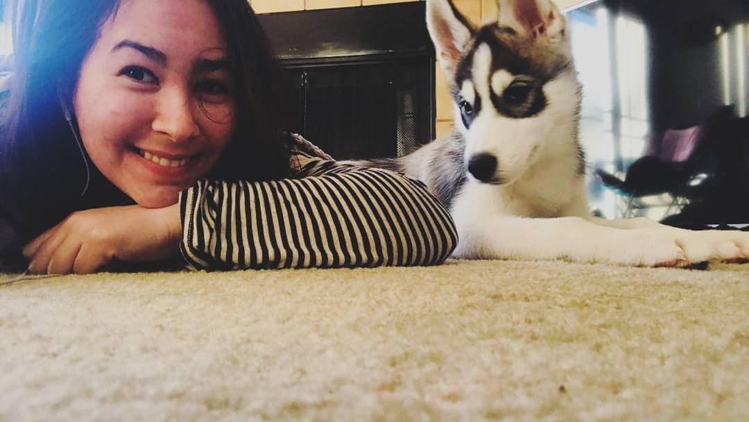 Central Texas Husky family pickup and puppy update photo 38