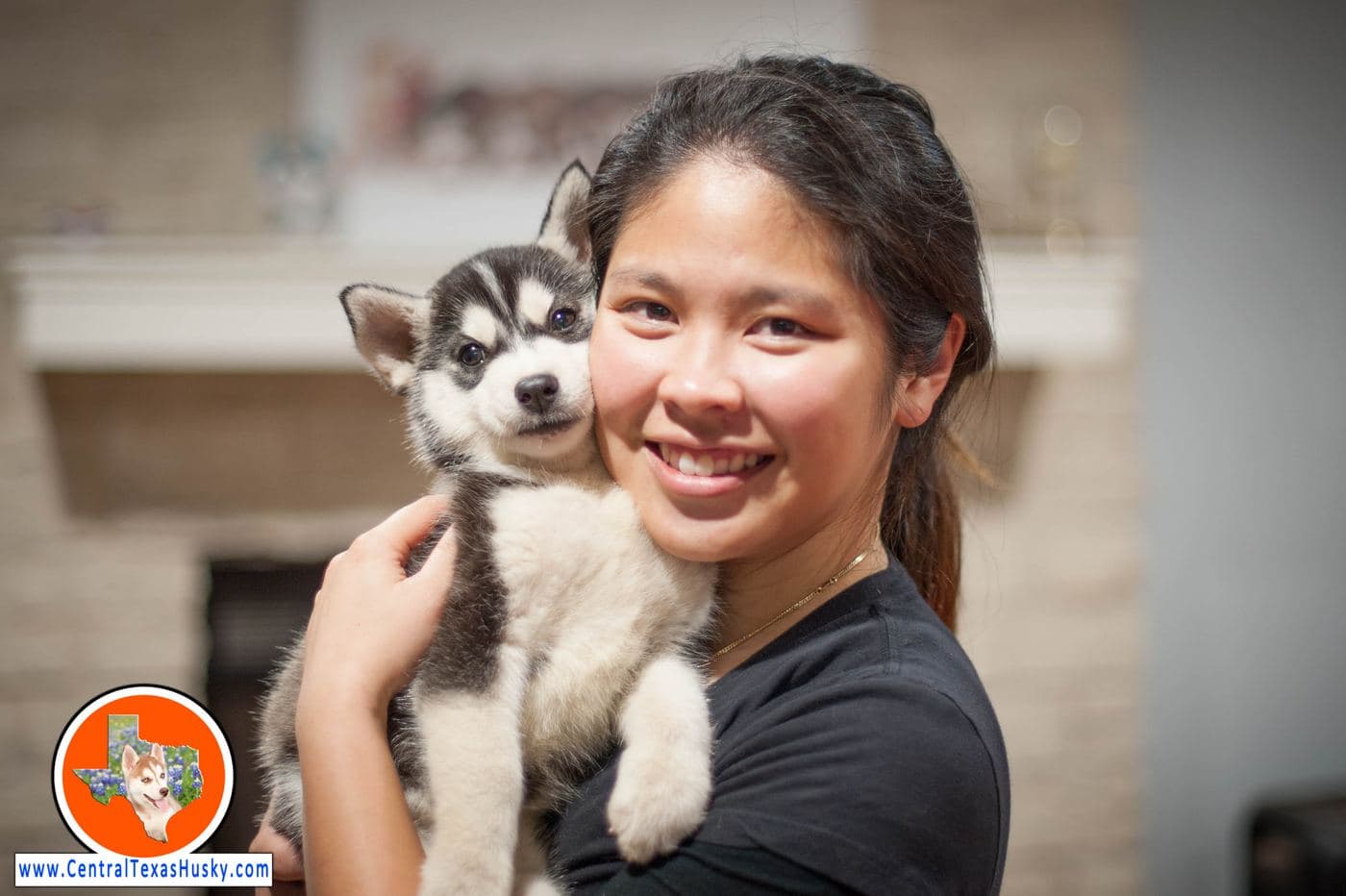 Central Texas Husky family pickup and puppy update photo 60