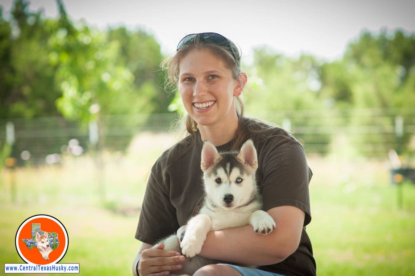 Central Texas Husky family pickup and puppy update photo 66
