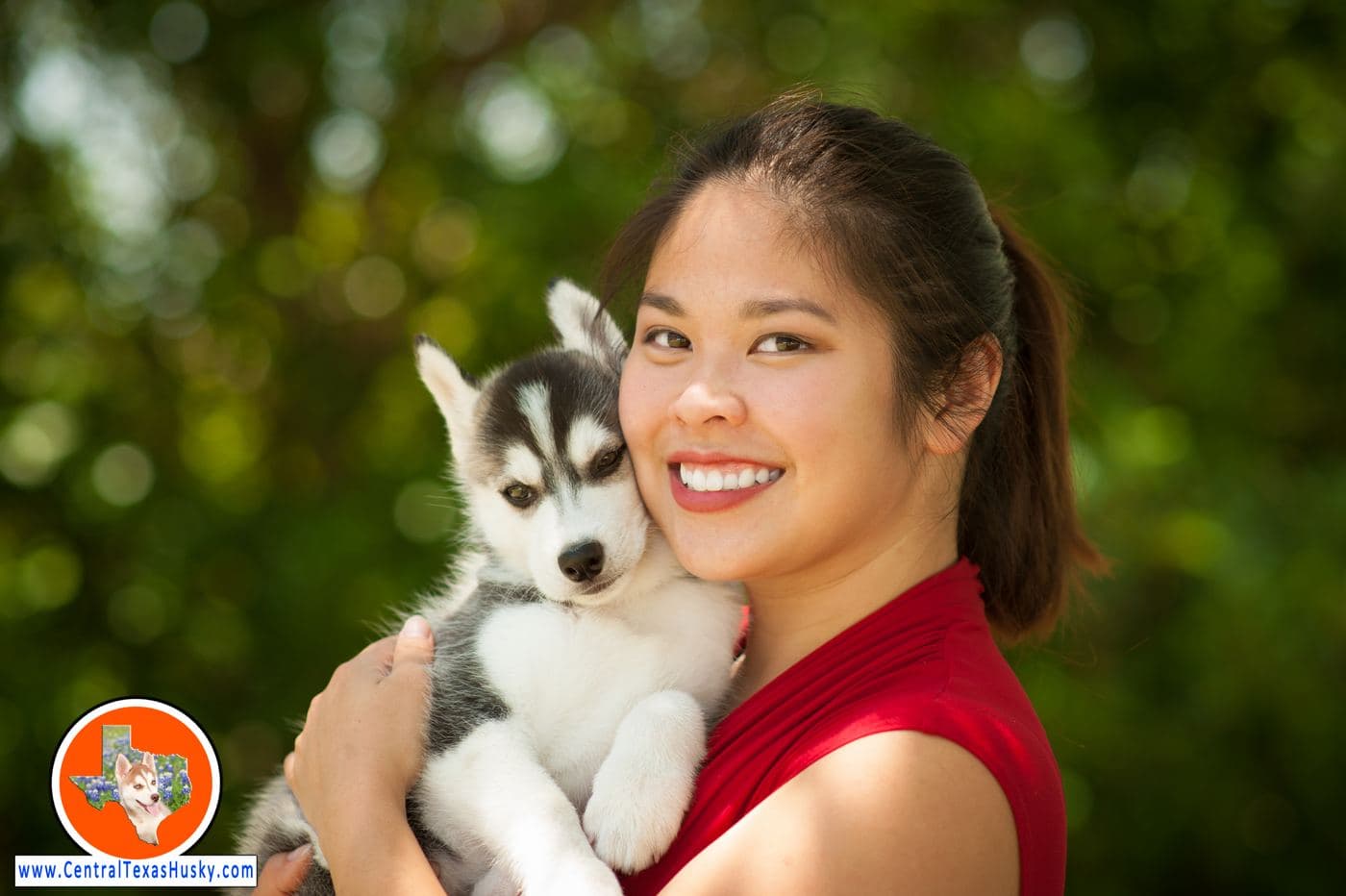 Central Texas Husky family pickup and puppy update photo 68