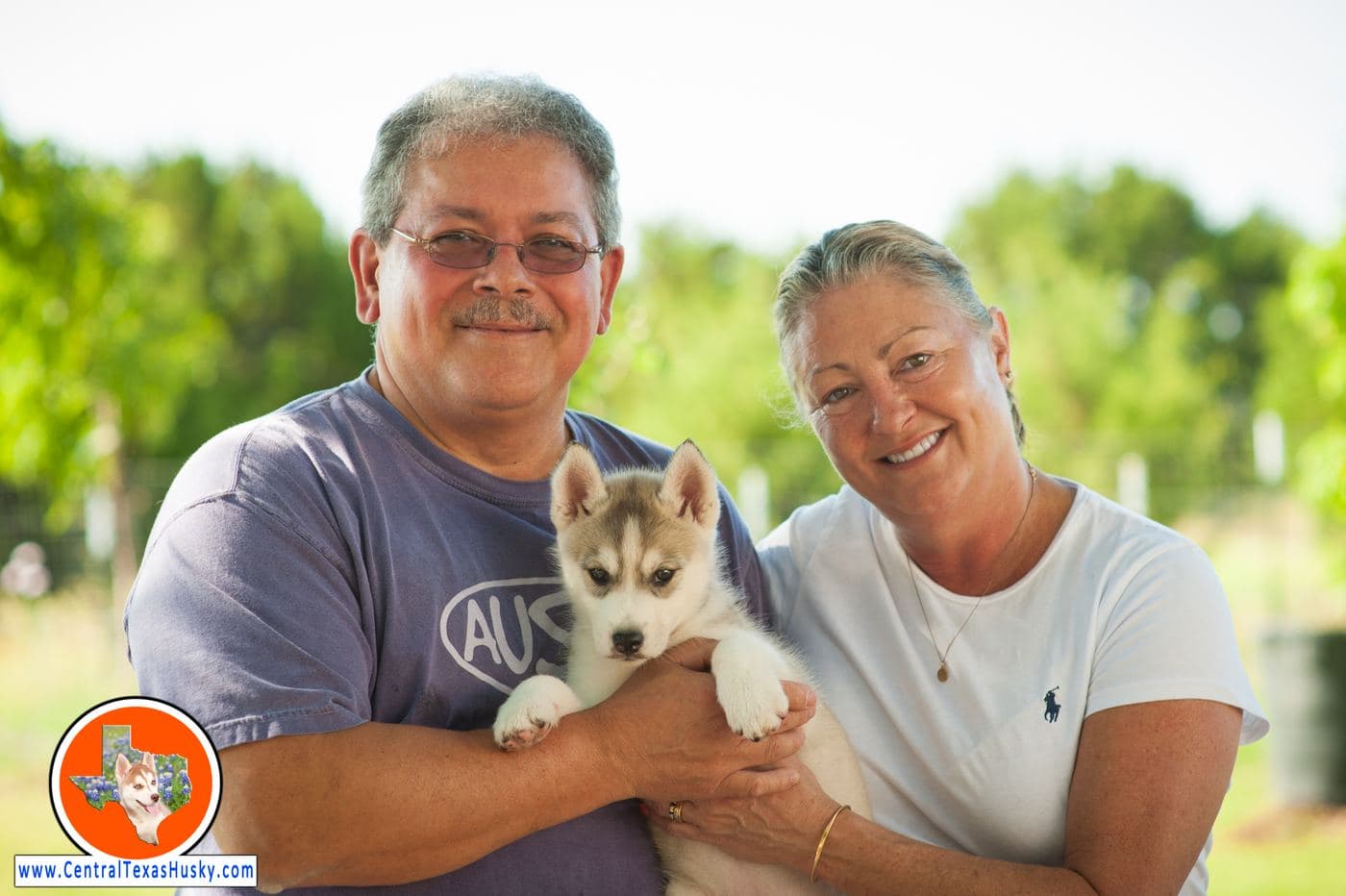 Central Texas Husky family pickup and puppy update photo 69