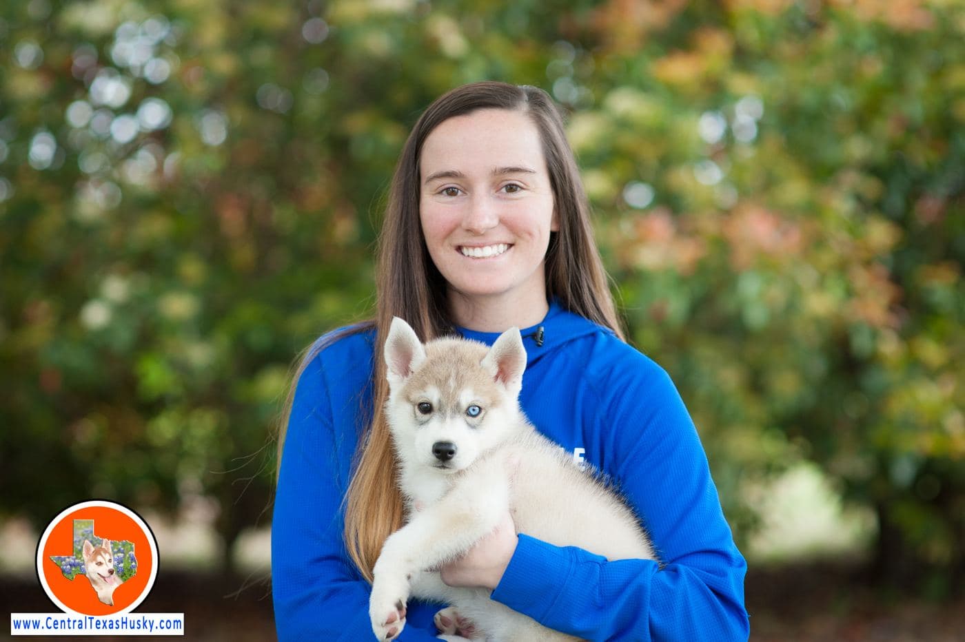 Central Texas Husky family pickup and puppy update photo 70