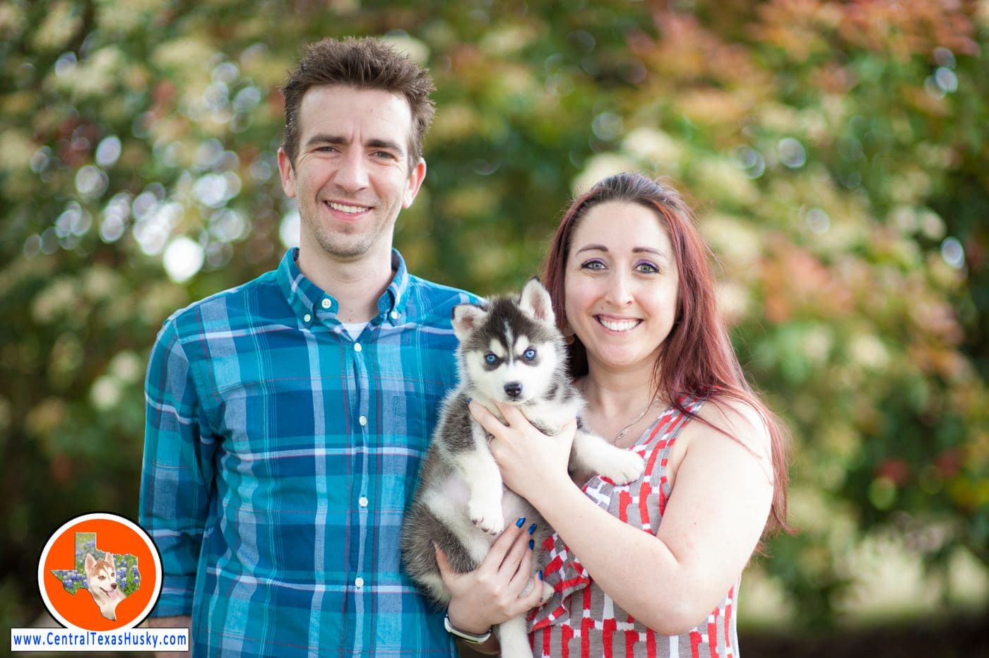 Central Texas Husky family pickup and puppy update photo 72