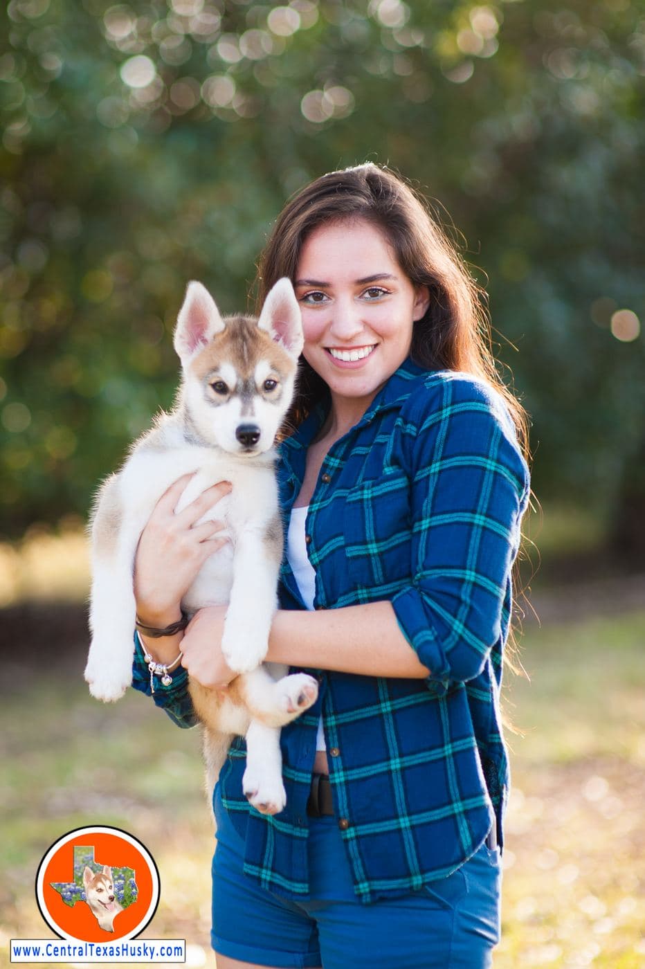 Central Texas Husky family pickup and puppy update photo 76