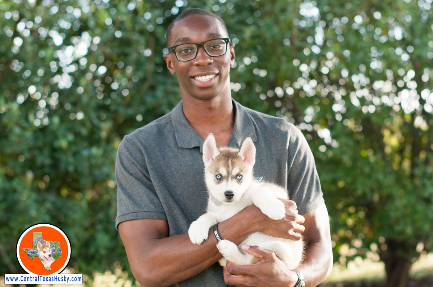 Central Texas Husky family pickup and puppy update photo 77