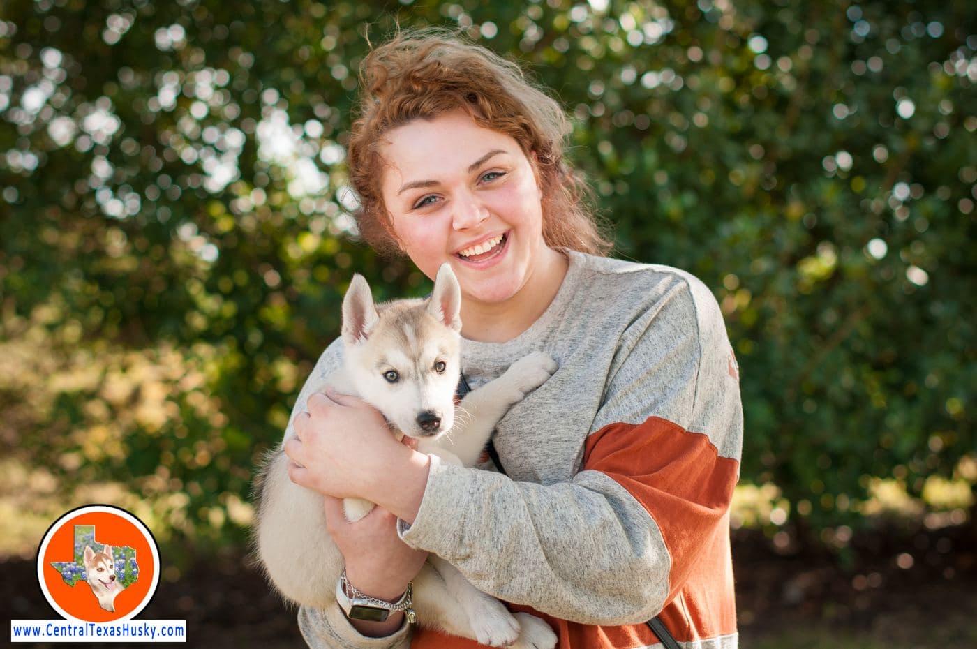 Central Texas Husky family pickup and puppy update photo 78