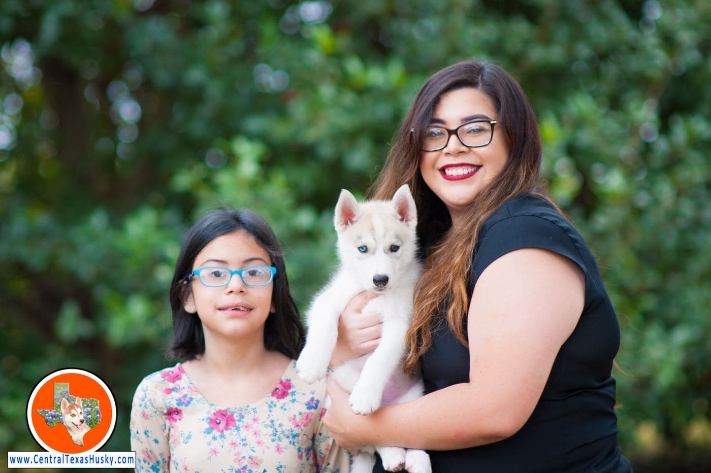 Central Texas Husky family pickup and puppy update photo 79