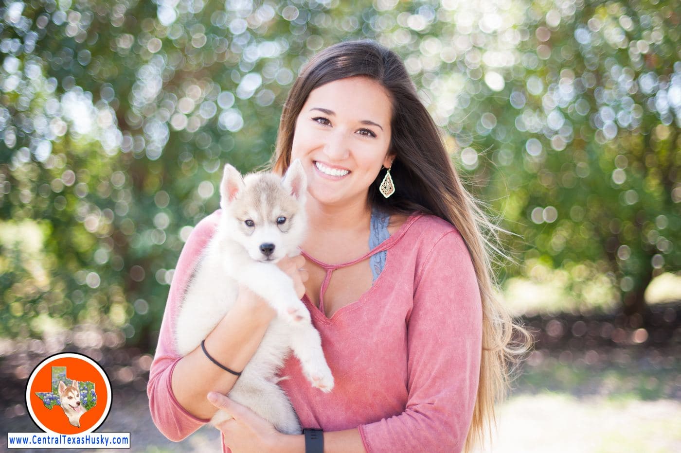 Central Texas Husky family pickup and puppy update photo 80