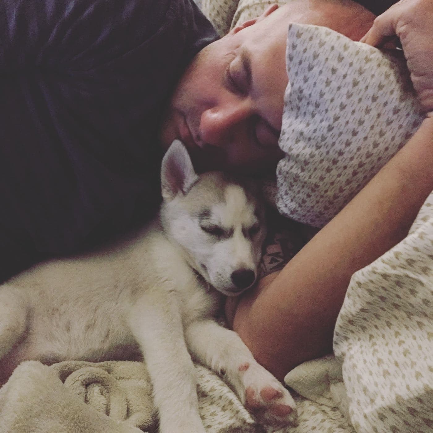 Central Texas Husky family pickup and puppy update photo 99