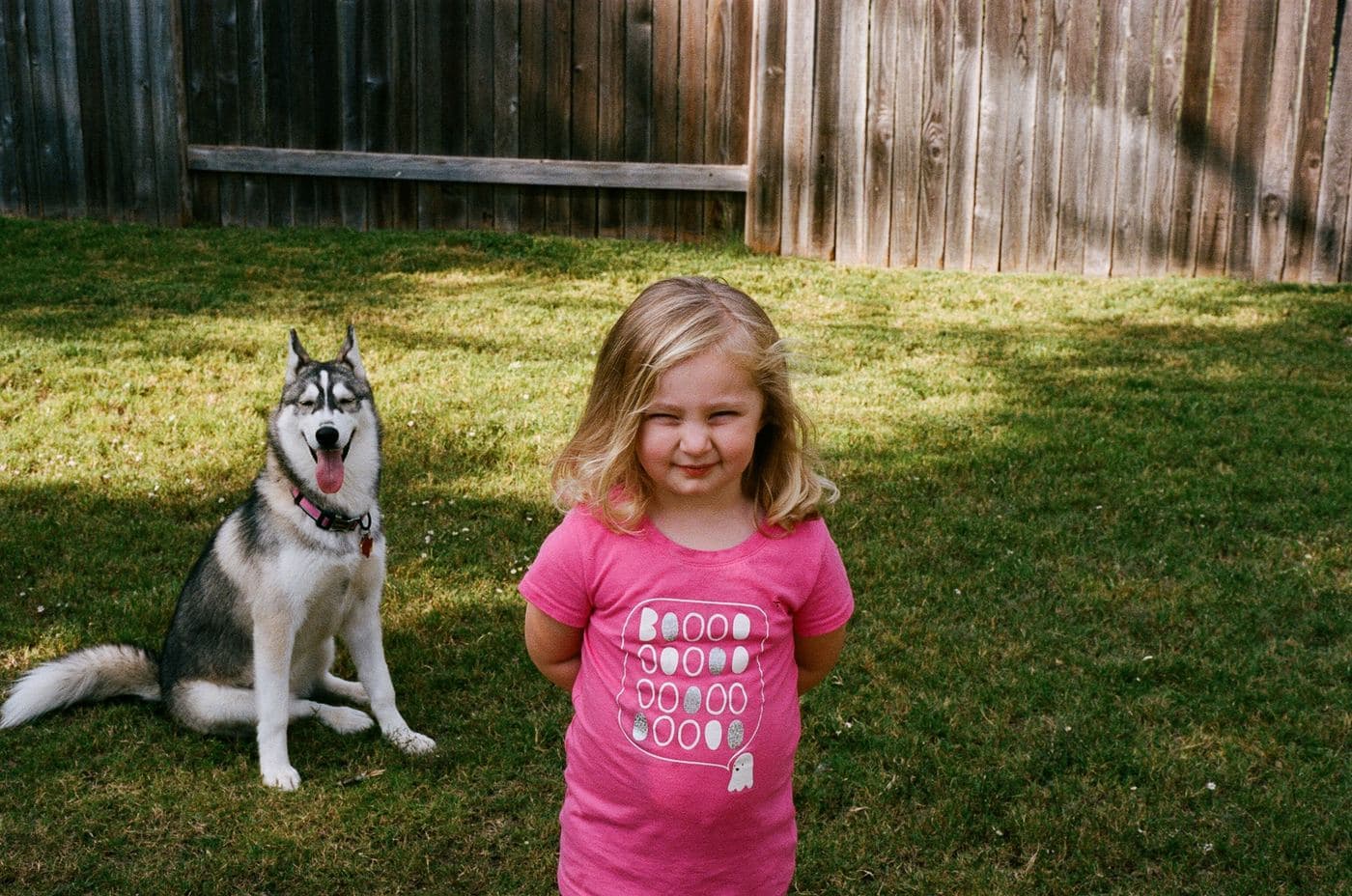 Central Texas Husky family pickup and puppy update photo 103
