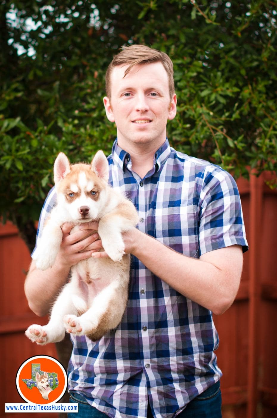 Central Texas Husky family pickup and puppy update photo 124