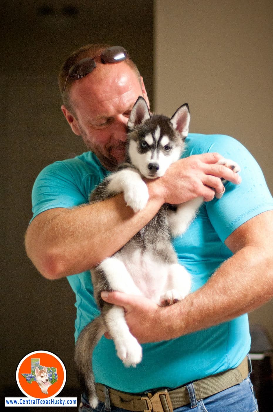 Central Texas Husky family pickup and puppy update photo 126