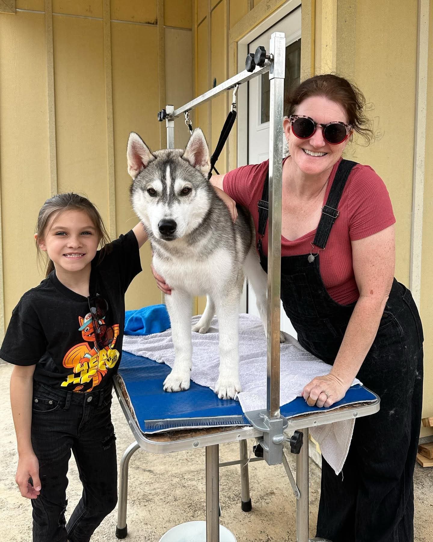 Family volunteers grooming a Central Texas Husky dog outside