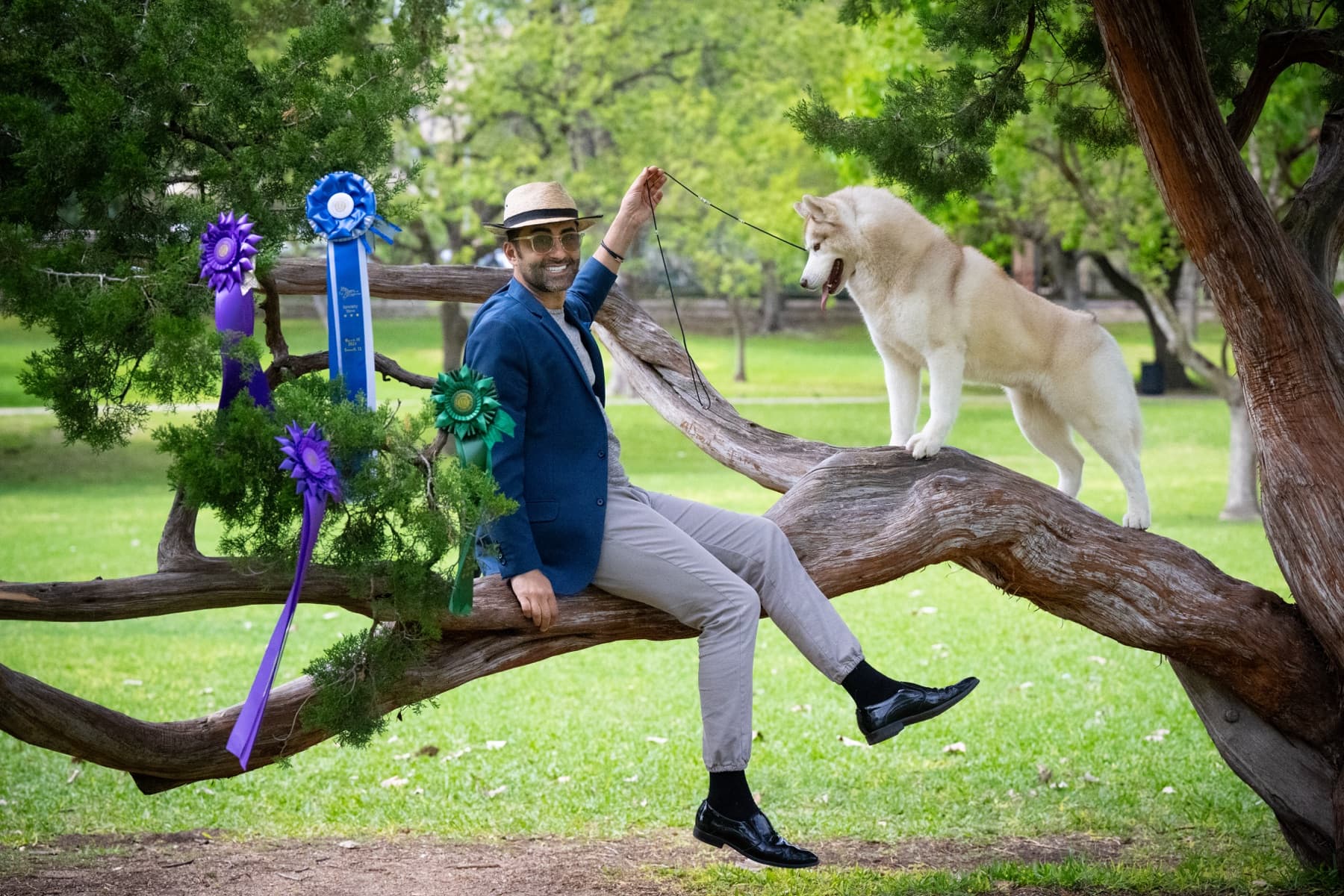 Esteban standing on a tree branch beside his handler with show ribbons nearby
