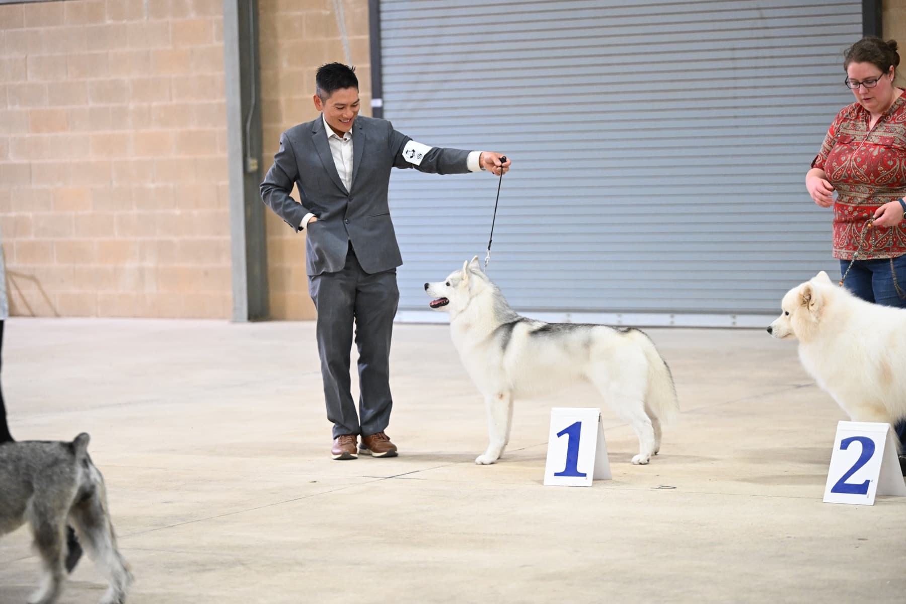 Star standing on a number one placement marker in the show ring