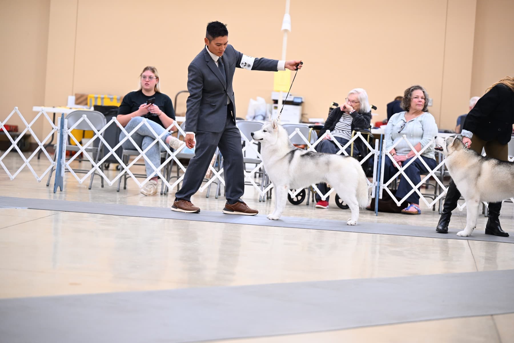 Star standing in profile in the show ring beside his handler